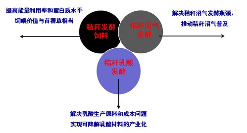 发酵饲料提供了出路 梁运祥教授 今后行业发展的主要推动力量就是以发酵技术为主的生物技术